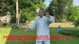 “缠丝劲”的正确的练法是什么？“缠丝劲”的正确的用法是什么？中国传统武术太极、形意、八卦三大内家拳之首的太极拳的奥妙。