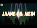 Jaane Dil  Mein Lirik dan Terjemahan | Mujhse Dosti Karoge