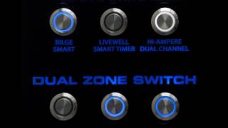 Bocatech Smart Switch Video