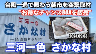 【三河一色さかな村 お得なチャンスBOXを販売 台風一過で賑わう朝市を取材】あばお 海鮮ちゃんねる #280 2024.09.03