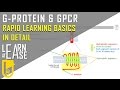 G-protein and GPCR (Rapid Learning-Basics to the Core)