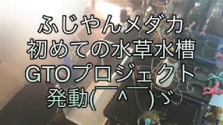 ふじやんメダカ 初めての水草水槽 GTOプロジェクト発動(￣^￣)ゞ