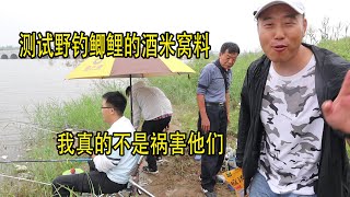 野釣鯽魚，兩把酒米打下去5分鐘一大群魚進窩，撒網都沒這麼快！ 【兩個麻瓜】