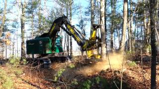 Timberjack 608 Feller Buncher Logging