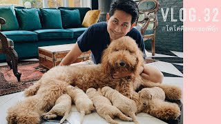 เคล็ดลับลูกโตไว โคโค่ตัวใหญ่และขนสุขภาพดี | COCO VLOG.32