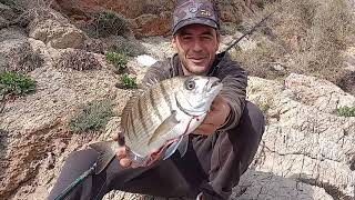 SURFCASTING PURO Y DURO EN ACANTILADO COMPLICADO JORNADA CON CAPTURA DE BUEN!!SARGO!!