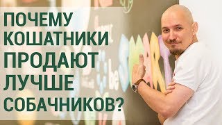 Почему кошатники продают лучше собачников