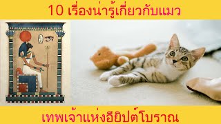 10 อันดับ ประวัติศาสตร์ เรื่องเกี่ยวกับ ( แมว )  l สาระแบบสั้นๆ EP 8