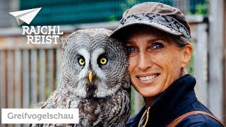 RAJCHL REIST mit VINCENZ ON TOUR: Der Wilde Berg und die Greifvogelschau