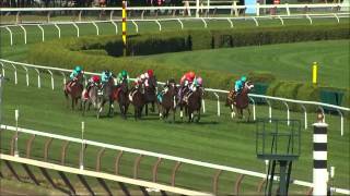 Saratoga Rewind Friday 8.7.15