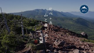 北八ヶ岳 山と森と池と【北部】｜麦草峠から蓼科山へ【登山・ハイキング・日帰り・車・2024年7月6日】茶臼山・縞枯山・雨池山・三ッ岳・北横岳・蓼科山・双子山｜長野県