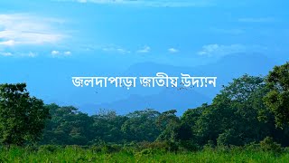 জলদাপাড়া: অতিকায় তৃণভোজীদের বিচরণভূমি