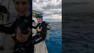 Why scuba divers fall backwards!