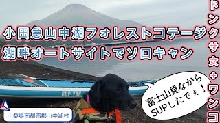 【小田急山中湖フォレストコテージ】【ハイエース車中泊】大型犬とドンクサ女の富士山SUPソロキャン！