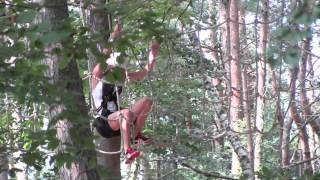 Langogne - Acrobranche Le Rondin des Bois