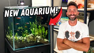 60 Gallon Cube Aquarium Setup: From Start to Finish!