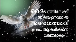 ദൈവത്തിന്റെ ആത്മാവിനാൽ പുതുജന്മം പ്രാപിക്കുന്നവർ...വചനവിരുന്ന് 2024     Rev. Sr Navya Grace Chf.