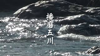 30秒の心象風景19520・播磨五川の二～市川～