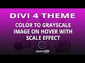 Divi 4 Color To Grayscale Image On Hover With Scale Effect