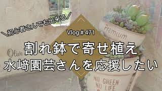 【Vlog471】【多肉植物】初心者さんでも出来る多肉植物寄せ植え【水﨑園芸さんを応援したい】