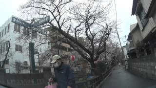 【街並み】宿河原・二ヶ領用水・桜開花状況 2016/3/24