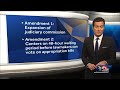Get the Facts: Explaining the four constitutional amendments on the Dec. 7 ballot