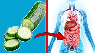 These CRAZY things happen when you eat 1 Cucumber EVERY DAY 💥 (INCREDIBLE) 🤯