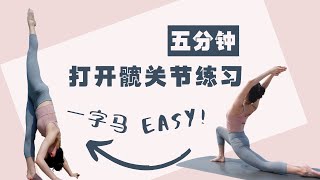 5分钟打开髋关节练习 | 5 MIN hip open exercise 弓箭步跟练：下半身拉伸，一字马变easy