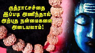 Rudraksha and Their Importance in Your Life | ருத்ராட்சத்தின் அற்புத சக்தி...!