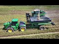 2024 louisiana rice harvest kaplan la. 4k