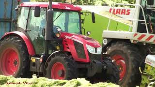 Silage '20 - Other Side of the Road.  Claas 890 with Various, incl  a Zetor.