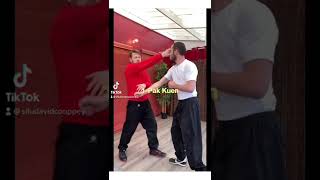 Wing Chun Training : short application for beginners