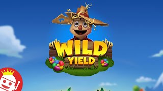 WILD YIELD 💥 (RELAX GAMING) 💥 NEW SLOT! 💥 FIRST LOOK! 💥