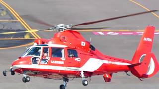 名古屋市消防航空隊ヘリコプター 「のぶなが」 Eurocopter AS365N3 Dauphin 2 JA758A 名古屋空港 2019.11.1