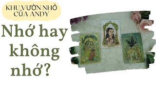 Chọn 1 tụ bài Tarot - Nhớ hay không nhớ - Alo Andy