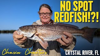 Winter fishing with my mom - Fishing Crystal River - Ozello Florida