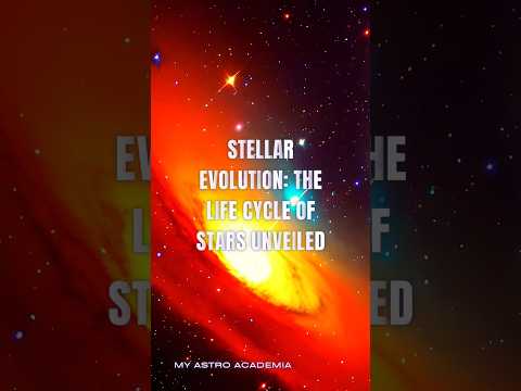 Stellar evolution: the life cycle of stars revealed #stars #universe #education #space #shorts