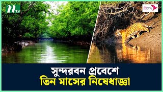 সুন্দরবন প্রবেশে তিন মাসের নিষেধাজ্ঞা | Sundarban | NTV News