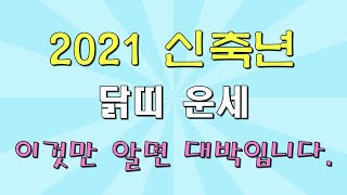 신축년 한해 닭띠 운세,,, 이것만 알면 대박납니다.. 너무 좋은 닭띠운세 확인