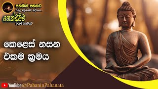 [22] - කෙළෙස් නසන එකම ක්‍රමය  [නෙක්ඛම්ම සදහම් සාකච්ඡාව] - ගරු සිනෙත් ලක්ෂාන් මහතා