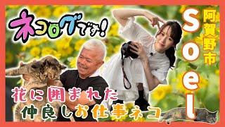 【看板猫】農園の働き者！？ 花に囲まれて暮らすお仕事ネコ🐈  NGT48西潟茉莉奈が阿賀野市・Soel（脇坂園芸）に行ってみた《ネコログです！第2弾》