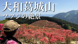 【登山#19】ツツジの絶景⛰大和葛城山△ソロ登山！温泉も満喫♨️