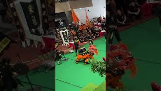 Traditional Lion Dance