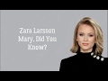 Mary, Did You Know? - Zara Larsson (lyric)