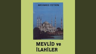 Tevhid Bahri