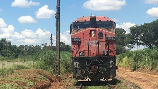 Trechada em Campinas-SP.(Pátio de ZBV)(Estação Boa Vista Velha)(15/02/2025)