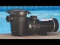 Doheny's pool pumps