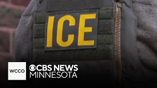 New data provides insight into who ICE arrested last year