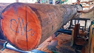 proses penggergajian kayu Meranti merah#woodworking