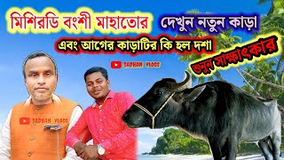 মিশিরডি বংশী মাহাতোর দেখুন নতুন কাড়া এবং আগের কাড়াটির কি হল দশা, শুনুন সাক্ষাৎকার